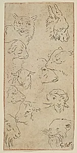 Study of animal heads