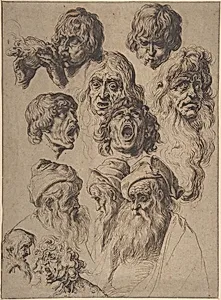 Study of Eleven Heads