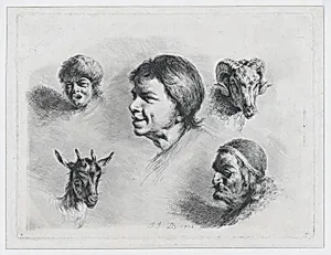 Study of Five Heads