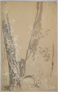 Study of Overgrown Trees; verso: Study of a Cypress and Two Overgrown Trees