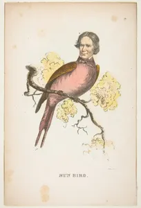 Sun Bird (James S. Wallace), from The Comic Natural History of the Human Race
