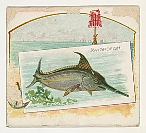 Swordfish, from Fish from American Waters series (N39) for Allen & Ginter Cigarettes by Lindner, Eddy & Claus|Allen & Ginter