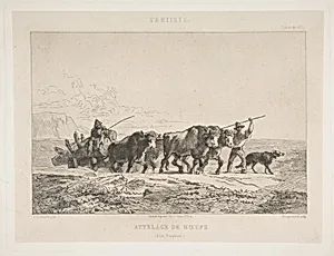 Team of Cattle (Haut-Dauphiné), from "L'Artiste" by Imprimerie Sarazin|Alexandre Dubuisson|Félix Bracquemond
