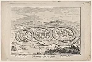 The American Rattle Snake by William Richardson|James Gillray