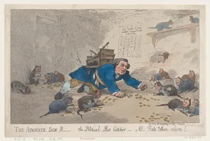 The Apostate Jack Robinson, The Political Rat Catcher–N.B. Rats Taken Alive!