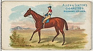 The Bard, from The World's Racers series (N32) for Allen & Ginter Cigarettes by Allen & Ginter|Lindner, Eddy & Claus
