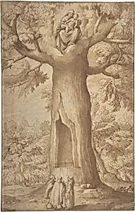 The Beech Tree of the Madonna at La Verna