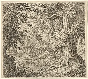 The Brook in the Wood by Allart van Everdingen