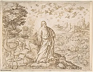 The Creation of the Fish and the Birds