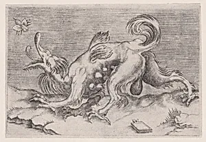 The Dragon and the Bee by Agostino Veneziano (Agostino dei Musi)