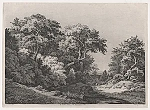 The Edge of the Woods, near Rambouillet