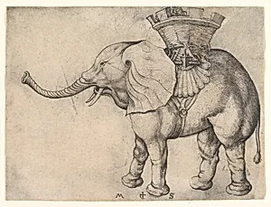 The Elephant by Martin Schongauer
