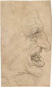 The Head of a Grotesque Man in Profile Facing Right