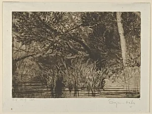 The Mouth of a Brook, No. 1