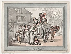 The Pea Cart by Thomas Rowlandson|S. W. Fores