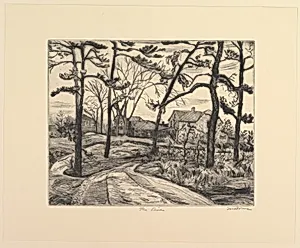 The Pines