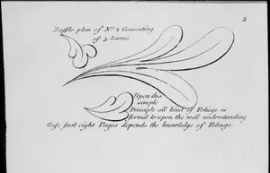 The Principles of Ornament, or the Youth's Guide to the Drawing of Foliage