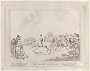 The Race Horse (from The Life of a Racehorse, or The High-Mettled Racer)