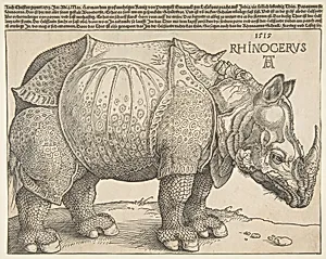 The Rhinoceros