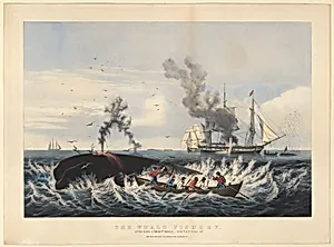 The Whale Fishery: Attacking a "Right Whale" --and "Cutting In" by Currier & Ives