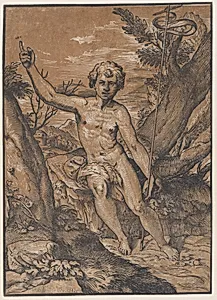 The young Saint John the Baptist in the wilderness