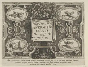 Title Plate from "The Introduction of the Silkworm" [Vermis Sericus]