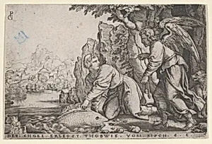 Tobiolus Catches the Fish, from The Story of Tobias