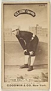 Tom Daly, Catcher, Chicago, from the Old Judge series (N172) for Old Judge Cigarettes by Goodwin & Company