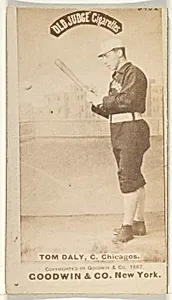 Tom Daly, Catcher, Chicago, from the Old Judge series (N172) for Old Judge Cigarettes by Goodwin & Company