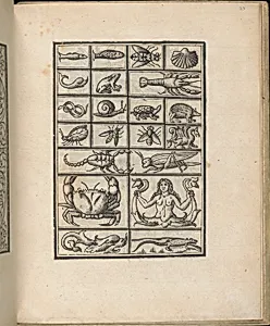 Trionfo Di Virtu. Libro Novo..., page 23 (verso) by Matteo Pagano