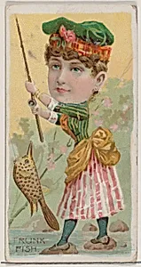 Trunk Fish, from the series Fishers and Fish (N74) for Duke brand cigarettes by W. Duke, Sons & Co.|Knapp & Company