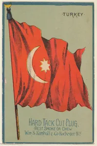 Turkey, from the National Flags series (N195) issued by Wm. S. Kimball & Co.