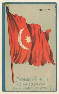 Turkey, from the National Flags series (N195) issued by Wm. S. Kimball & Co.