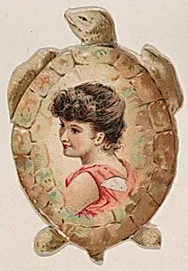 Turtle, from the Novelties series (N228, Type 4) issued by Kinney Bros. by Kinney Brothers Tobacco Company