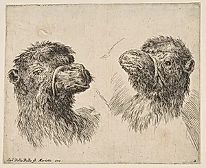 Two Camel Heads by Stefano della Bella|Pierre Mariette