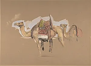 Two Camels