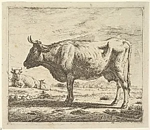 Two Cows and a Sheep, from Different Animals