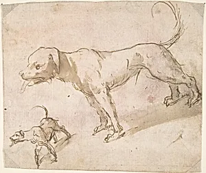 Two Dogs