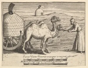 Two Dromedaries (Aubry de La Mottraye's "Travels throughout Europe, Asia and into Part of Africa...," London, 1724, plate 314)