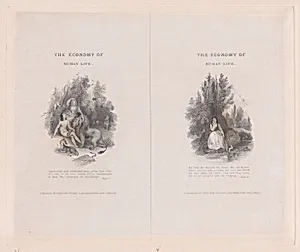 Two illustrations for "The Economy of Human Life" by Robert Dodsley|John van Voorst|Frank Howard