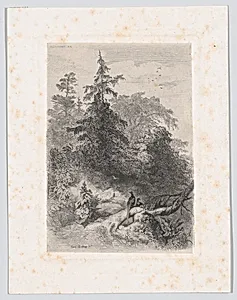 Two Pheasants in a Forest