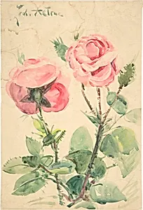Two Roses