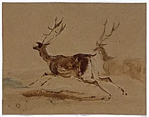 Two Stags Running