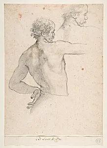 Two Studies of a Man