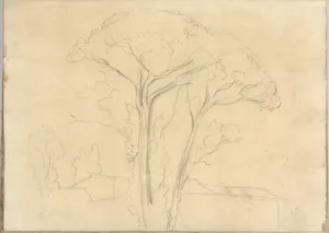 Umbrella Pines and Buildings (Smaller Italian Sketchbook, leaf 26 recto)