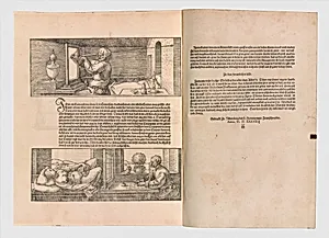 Underweysung der Messung (Nuremberg, 1538)