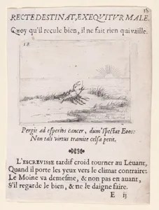 Une Ecrevisse Regardant Le Soleil (A Crayfish Looking at the Sun), from Lux Claustri ou La Lumière du Cloitre (The Light of the Cloisters), plate 18