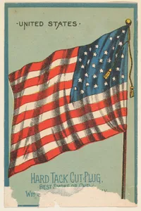United States, from the National Flags series (N195) issued by Wm. S. Kimball & Co.