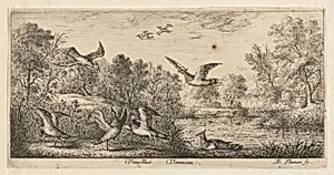 Vanellus, Vanneau (The Lapwing), from "Livre d'Oyseaux" (Book of Birds) by Albert Flamen