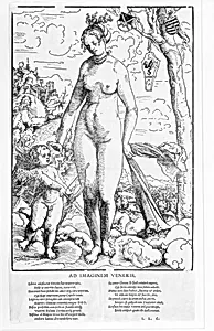 Venus and Cupid by Lucas Cranach the Elder